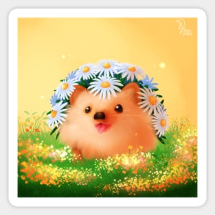 Daisyhog Sticker